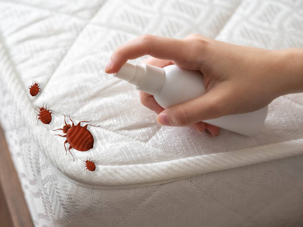 Emergency Pest Control in Munford, TN